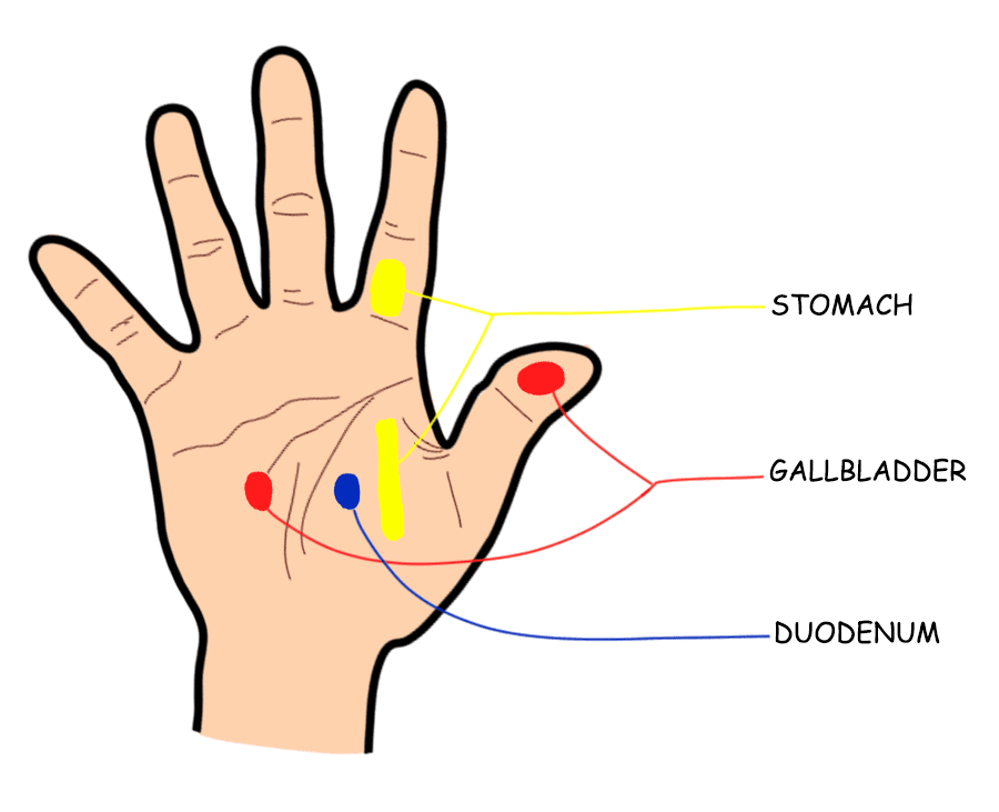 acupressure points for gas in hindi,acupressure points for gas and constipation in hindi,पेट दर्द के लिए एक्यूप्रेशर पॉइंट,पेट में गैस के लिए एक्यूप्रेशर पॉइंट,acupressure points for acidity in hindi
