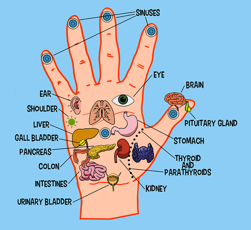 acupressure points for gas in hindi,acupressure points for gas and constipation in hindi,पेट दर्द के लिए एक्यूप्रेशर पॉइंट,पेट में गैस के लिए एक्यूप्रेशर पॉइंट,acupressure points for acidity in hindi
