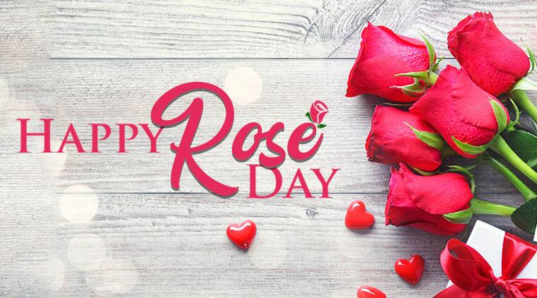 Happy Rose Day Shayari in Hindi 2022,51 + best रोज डे शायरी ,rose day 2022 quotes in hindi,happy rose day 2022 wishes in hindi,Happy Rose Day status in Hindi,Happy Rose Day quotes in Hindi