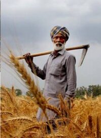 पीएम किसान योजना के तहत हितग्राहियों को लाभ वितरण 25 दिसंबर को.