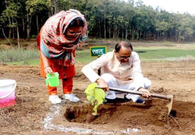 लगातार 250 दिन पौधरोपण कर मप्र के CM चौहान ने बनाया रिकार्ड, दिया पर्यावरण संरक्षण का संदेश