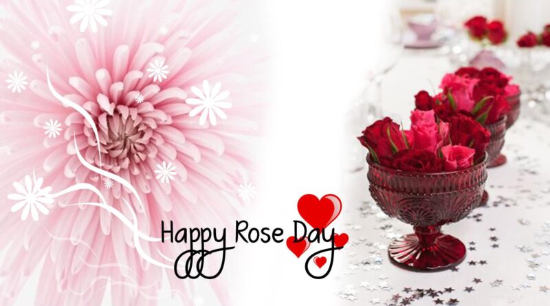 Happy Rose Day Shayari in Hindi 2022,51 + best रोज डे शायरी ,rose day 2022 quotes in hindi,happy rose day 2022 wishes in hindi,Happy Rose Day status in Hindi,Happy Rose Day quotes in Hindi