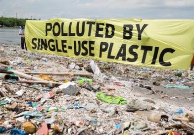 मप्र : सिंगल यूज़ प्लास्टिक वस्तुओं का बिक्री-उपयोग एक जुलाई से प्रतिबंधित ,जानें किन वस्तुओं पर रहेगी रोक