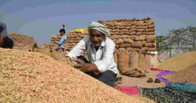 उर्वरक कालाबाजारी पर सख्त कार्रवाई : 6,800 से अधिक लाइसेंस रद्द, 4.6 लाख से ज्यादा छापे उर्वरक कालाबाजारी पर सख्त कार्रवाई : 6,800 से अधिक लाइसेंस रद्द, 4.6 लाख से ज्यादा छापे