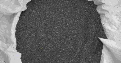 कृषक कल्याण वर्ष 2026 : श्रीअन्न को मिलेगी नई पहचान, सिताही कुटकी, नागदमन कुटकी और बैंगनी अरहर को मिलेगा GI टैग, जनजातीय किसानों की बढ़ेगी आय कृषक कल्याण वर्ष 2026 : श्रीअन्न को मिलेगी नई पहचान, सिताही कुटकी, नागदमन कुटकी और बैंगनी अरहर को मिलेगा GI टैग, जनजातीय किसानों की बढ़ेगी आय