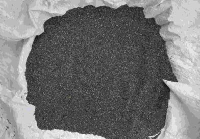 कृषक कल्याण वर्ष 2026 : श्रीअन्न को मिलेगी नई पहचान, सिताही कुटकी, नागदमन कुटकी और बैंगनी अरहर को मिलेगा GI टैग, जनजातीय किसानों की बढ़ेगी आय