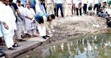 चंबल के कछुए बने गंगा के ‘प्राकृतिक सफाई योद्धा’ : नमामि गंगे मिशन में निभा रहे अहम भूमिका, जल गुणवत्ता में दिख रहा सुधार