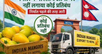 अफवाहों पर लगा विराम : नेपाल ने भारतीय आम पर नहीं लगाया कोई प्रतिबंध, निर्यात पहले की तरह जारी