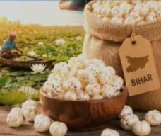 बिहार के मखाने की ऑस्ट्रेलिया में बढ़ी डिमांड : GI-टैग वाले मिथिला मखाने की पहली समुद्री खेप रवाना, किसानों को मिला 18% ज्यादा दाम