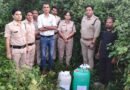 अवैध शराब के ठिकानों पर आबकारी विभाग का छापा : फुलरा कंजर डेरा से 1200 लीटर गुड़ लाहन नष्ट, 75 लीटर कच्ची शराब जब्त अवैध शराब के ठिकानों पर आबकारी विभाग का छापा : फुलरा कंजर डेरा से 1200 लीटर गुड़ लाहन नष्ट, 75 लीटर कच्ची शराब जब्त